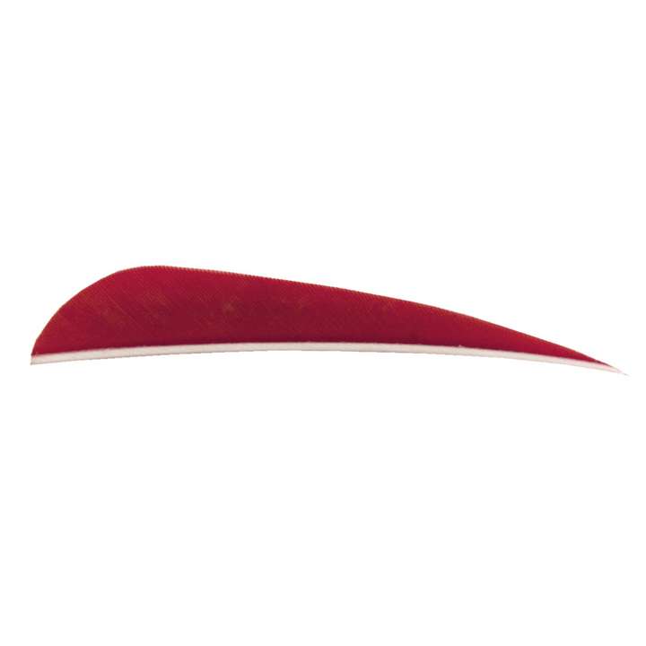 Plumes naturelles 4'' RW