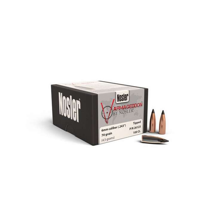 NOSLER 100 OGIVES 6MM 70GR TIPPED FB