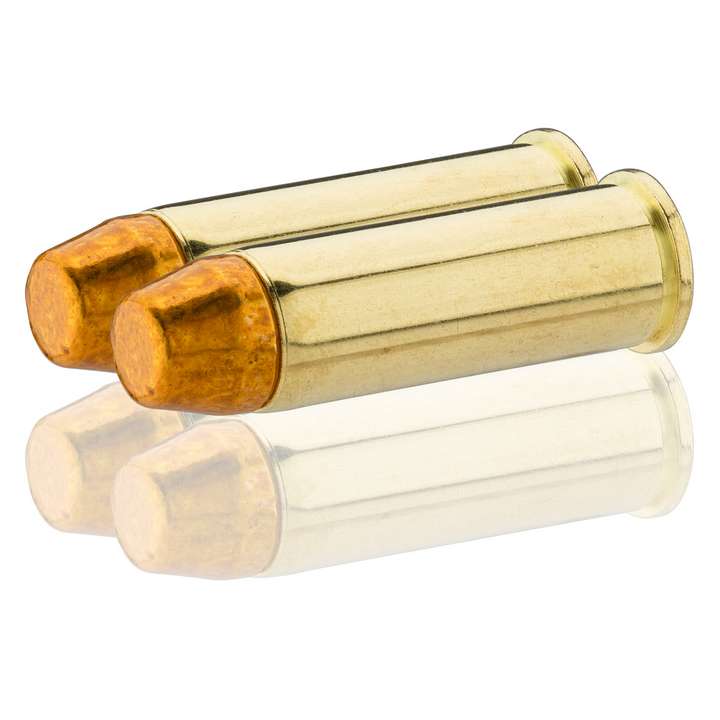 44 Rem Magnum 240 grs